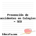 Prevención de accidentes en Colegios – SED