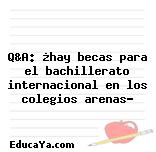 Q&A: ¿hay becas para el bachillerato internacional en los colegios arenas?