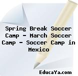 Spring Break Soccer Camp – March Soccer Camp – Soccer Camp in Mexico