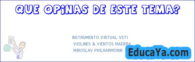 INSTRUMENTO VIRTUAL VSTI | VIOLINES & VIENTOS MADERA | MIROSLAV PHILHARMONIK