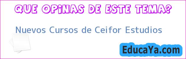 Nuevos Cursos de Ceifor Estudios