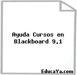 Ayuda Cursos en Blackboard 9.1