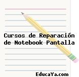 Cursos de Reparación de Notebook Pantalla