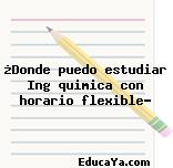 ¿Donde puedo estudiar Ing quimica con horario flexible?