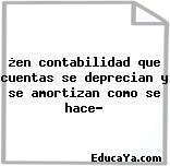 ¿en contabilidad que cuentas se deprecian y se amortizan como se hace?