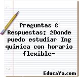 Preguntas & Respuestas: ¿Donde puedo estudiar Ing quimica con horario flexible?