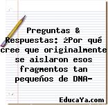 Preguntas & Respuestas: ¿Por qué cree que originalmente se aislaron esos fragmentos tan pequeños de DNA?