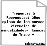 Preguntas & Respuestas: ¿Que opinan de los cursos virtuales de manualidades? Muñecas de Trapo ?