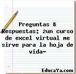 Preguntas & Respuestas: ¿un curso de excel virtual me sirve para la hoja de vida?