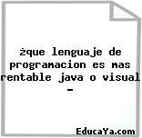 ¿que lenguaje de programacion es mas rentable java o visual ?