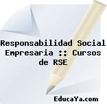 Responsabilidad Social Empresaria :: Cursos de RSE