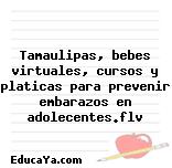 Tamaulipas, bebes virtuales, cursos y platicas para prevenir embarazos en adolecentes.flv