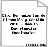 Dip. Herramientas de Dirección y Gestión 2010 – Módulo Competencias Emocionales