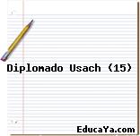 Diplomado Usach (15)