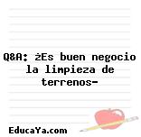 Q&A: ¿Es buen negocio la limpieza de terrenos?