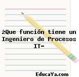 ¿Que función tiene un Ingeniero de Procesos IT?