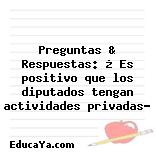 Preguntas & Respuestas: ¿ Es positivo que los diputados tengan actividades privadas?