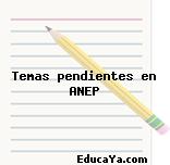 Temas pendientes en ANEP