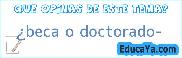 ¿beca o doctorado?