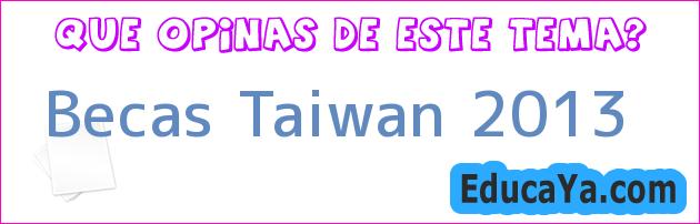 Becas Taiwan 2013