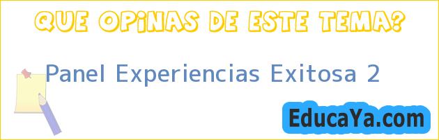 Panel Experiencias Exitosa 2