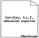 Cerritos, S.L.P. educacion especial