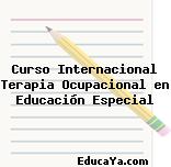 Curso Internacional Terapia Ocupacional en Educación Especial