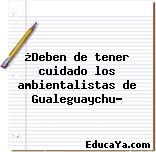 ¿Deben de tener cuidado los ambientalistas de Gualeguaychu?