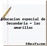 Educacion especial de Secundaria – las amarillas