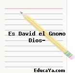 Es David el Gnomo Dios?