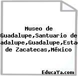 Museo de Guadalupe,Santuario de Guadalupe,Guadalupe,Estado de Zacatecas,México