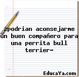 ¿podrian aconsejarme un buen compañero para una perrita bull terrier?