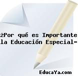 ¿Por qué es Importante la Educación Especial?