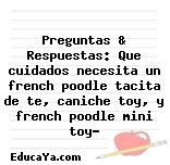 Preguntas & Respuestas: Que cuidados necesita un french poodle tacita de te, caniche toy, y french poodle mini toy?