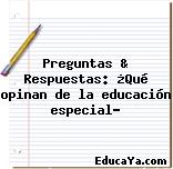 Preguntas & Respuestas: ¿Qué opinan de la educación especial?