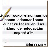 ¿que, como y porque se hacen adecuaciones curriculares en los niños de educación especial?