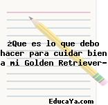 ¿Que es lo que debo hacer para cuidar bien a mi Golden Retriever?