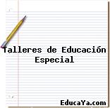 Talleres de Educación Especial