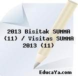 2013 Bisitak SUMMA (11) / Visitas SUMMA 2013 (11)