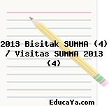 2013 Bisitak SUMMA (4) / Visitas SUMMA 2013 (4)