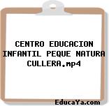 CENTRO EDUCACION INFANTIL PEQUE NATURA CULLERA.mp4