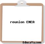 reunion ENEA