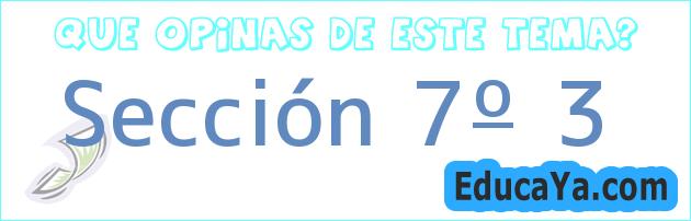 Sección 7º 3