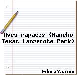 Aves rapaces (Rancho Texas Lanzarote Park)