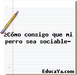 ¿Cómo consigo que mi perro sea sociable?