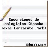 Excursiones de colegiales (Rancho Texas Lanzarote Park)