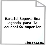 Harald Beyer: Una agenda para la educación superior