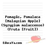 Pomagás, Pomalaca [Malaysian Apple] (Syzygium malaccense) (Fruta [Fruit])