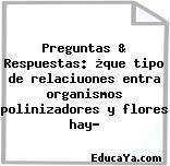 Preguntas & Respuestas: ¿que tipo de relaciuones entra organismos polinizadores y flores hay?