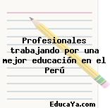 Profesionales trabajando por una mejor educación en el Perú